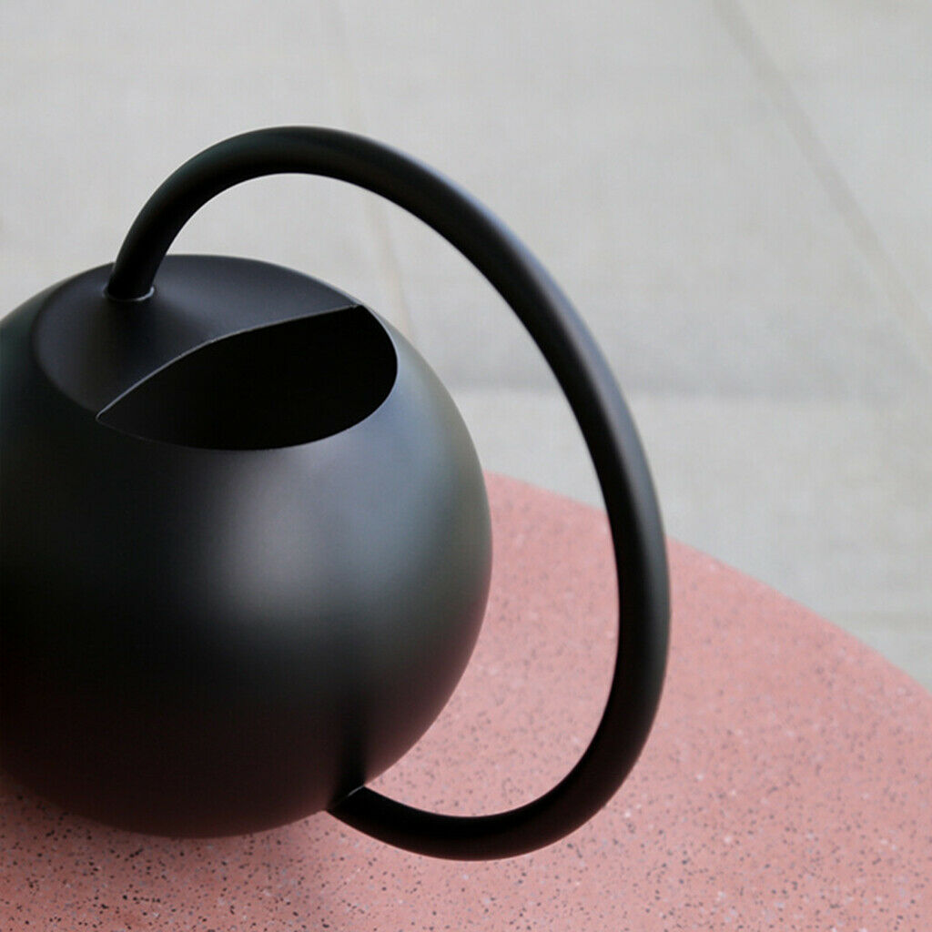 Watering Can Outdoor for Watering Flower Bonsai Succulent Plants Houseplants