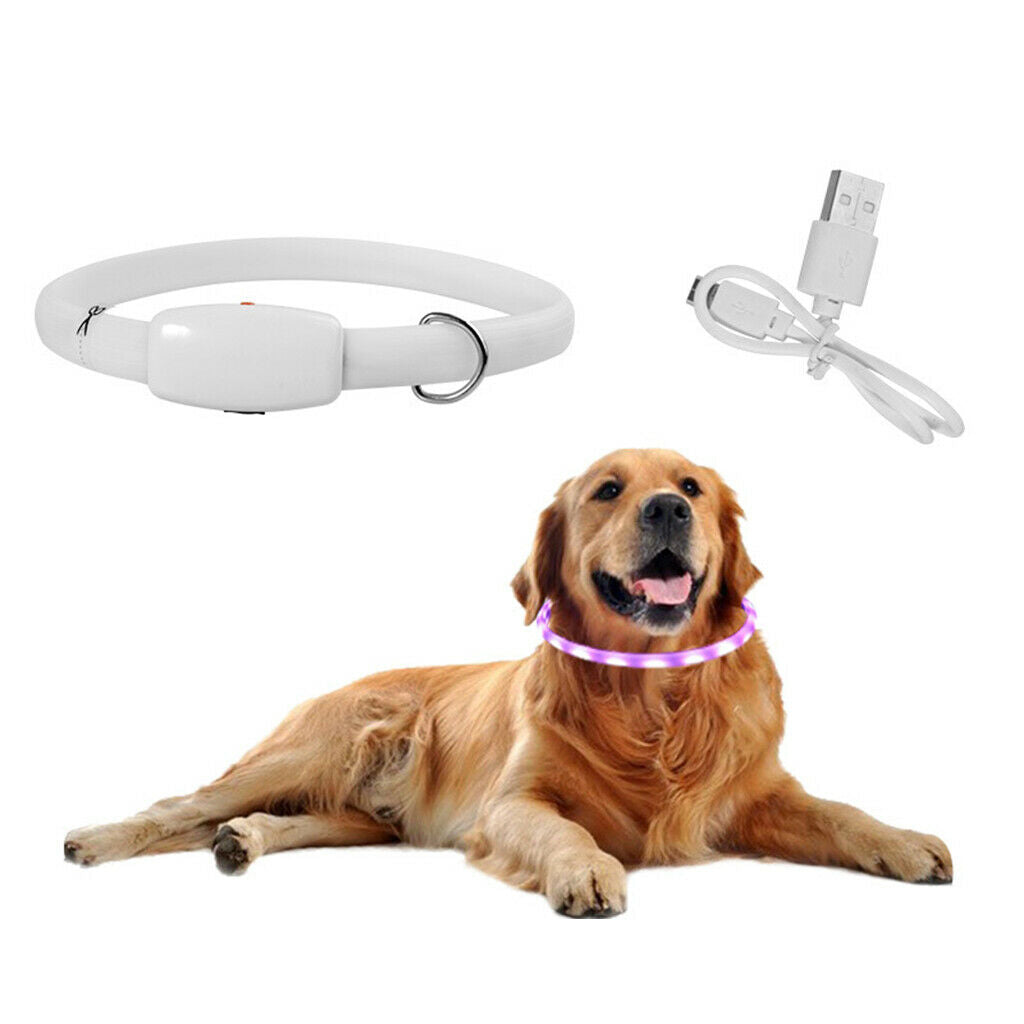 Dog LED Collar Anti-Lost Night Flashing Collars Glow In The Dark Adjustable
