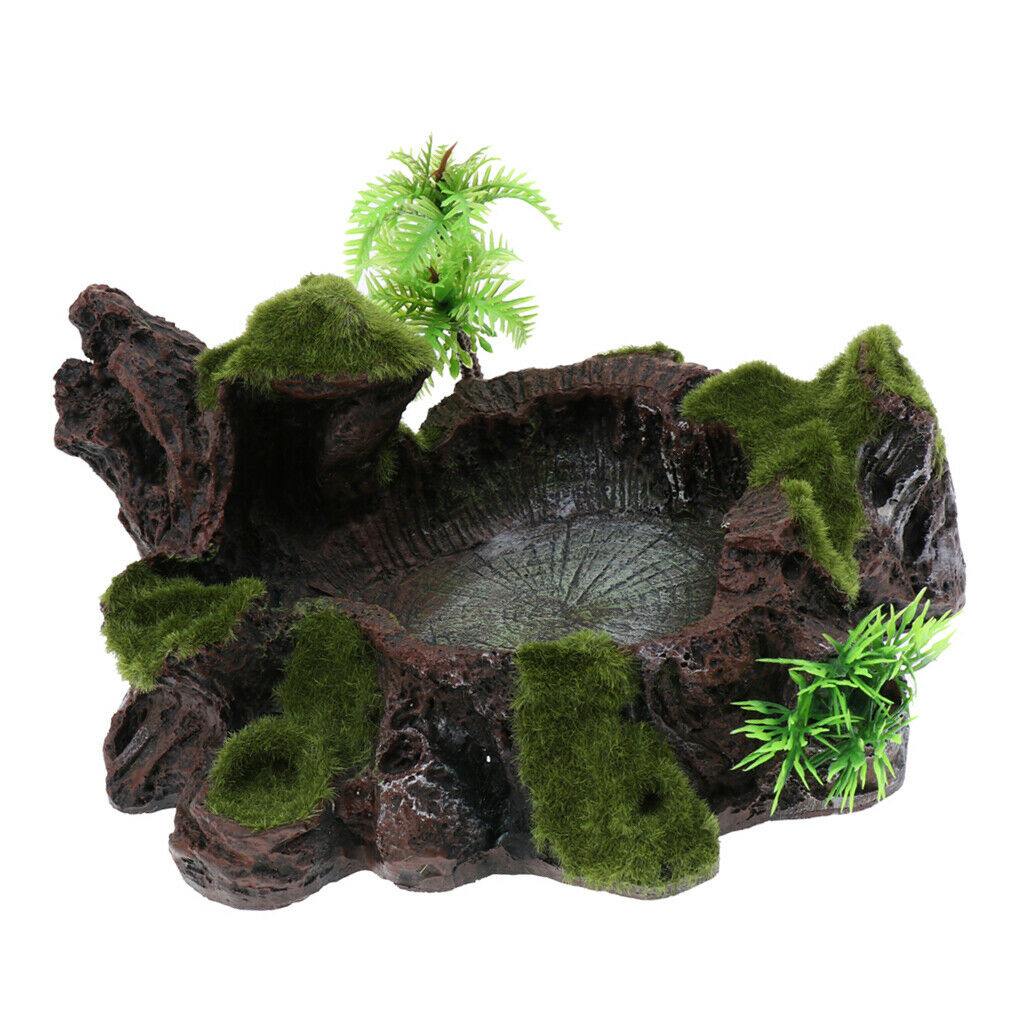 Plant Moss Decor Anqique Rock Style Water Bowl Food Dish Terrarium Habitat Decor