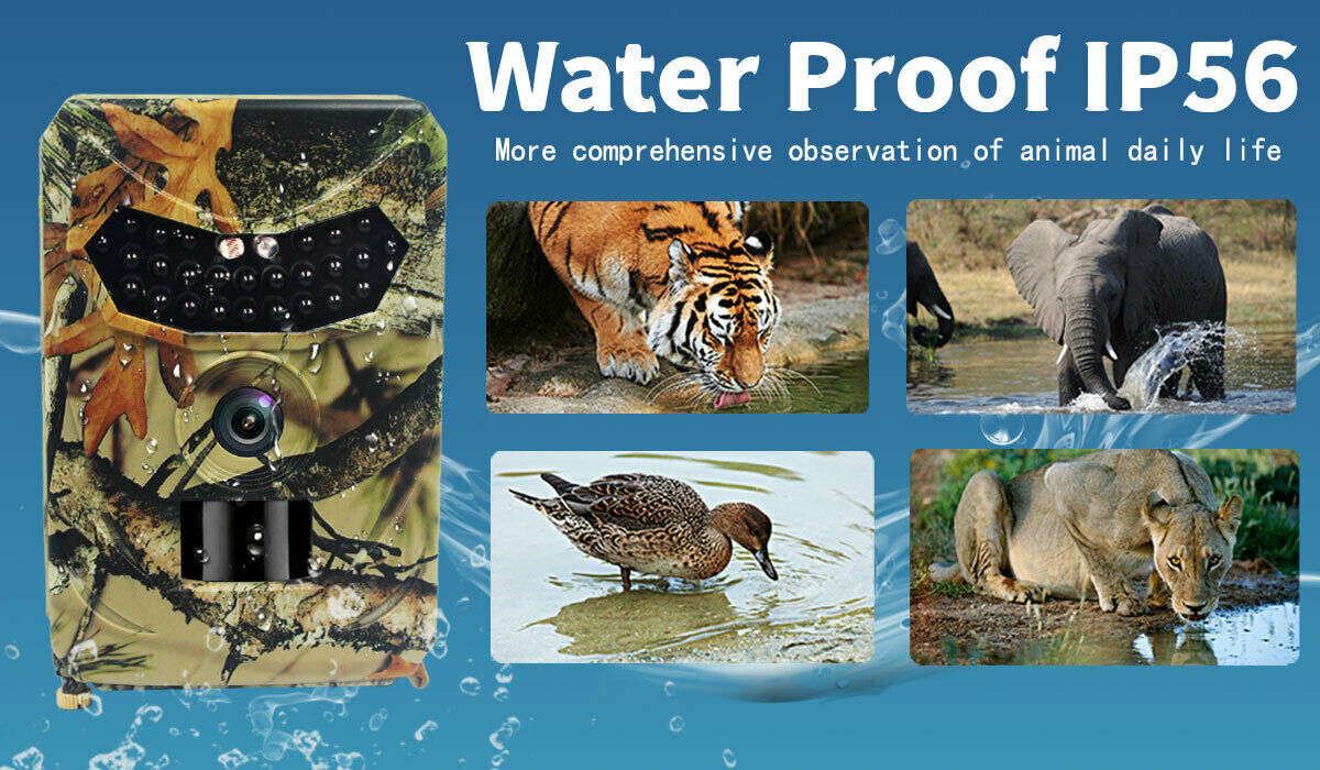 IP56 Camera 16MP 1080P Hunting Camera  for Wildlife Scouting Digital