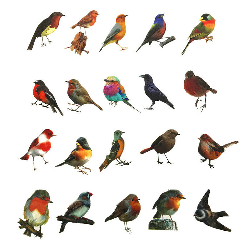 40Pcs/set Robin Birds Decorative Stickers Adhesive Stickers DIY Diary Sta.l8