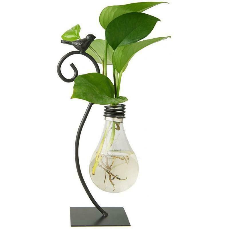 Glass Planter Shelf Bookcase Bulb Vase Stable Bird Terrarium Home Decor