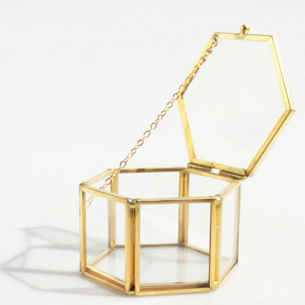 2 Pieces Modern Glass and Brass Cube Shaped Tabletop Succulent Plant Terrarium