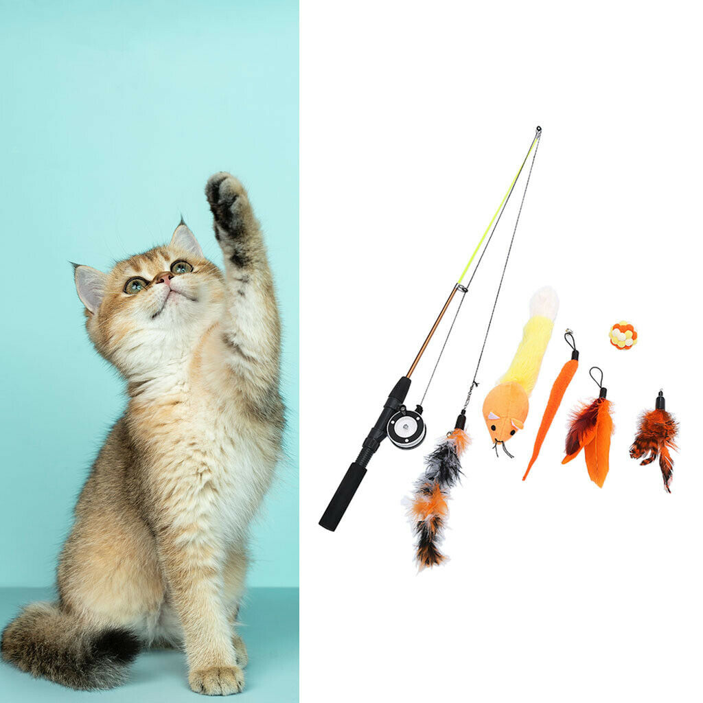 Cats Kitten Feather Interactive Teaser Extendable Wand Toys with 6 Refills
