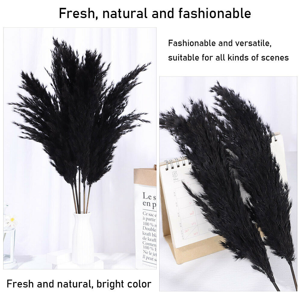 Material Pampas Grass Real Flower Reed Natural Dried Bouquets Plant Stems
