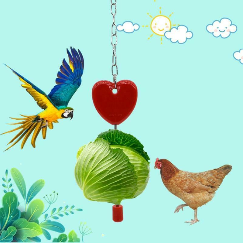 Bird Treat Holder Fruit Skewer Fork Hanging Feeding Tool to Keep Food Clean