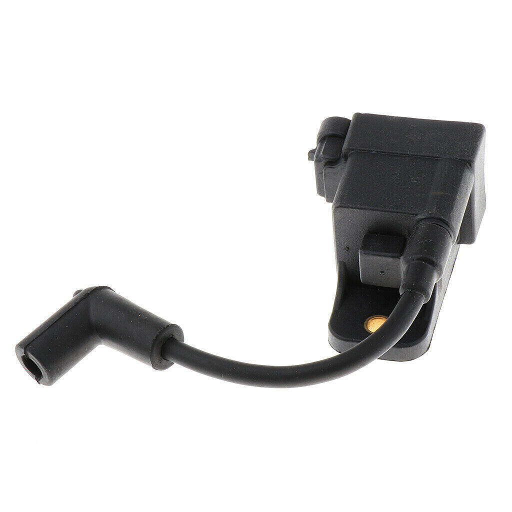 2pcs Outboard CDM Ignition Coil Assembly Boat