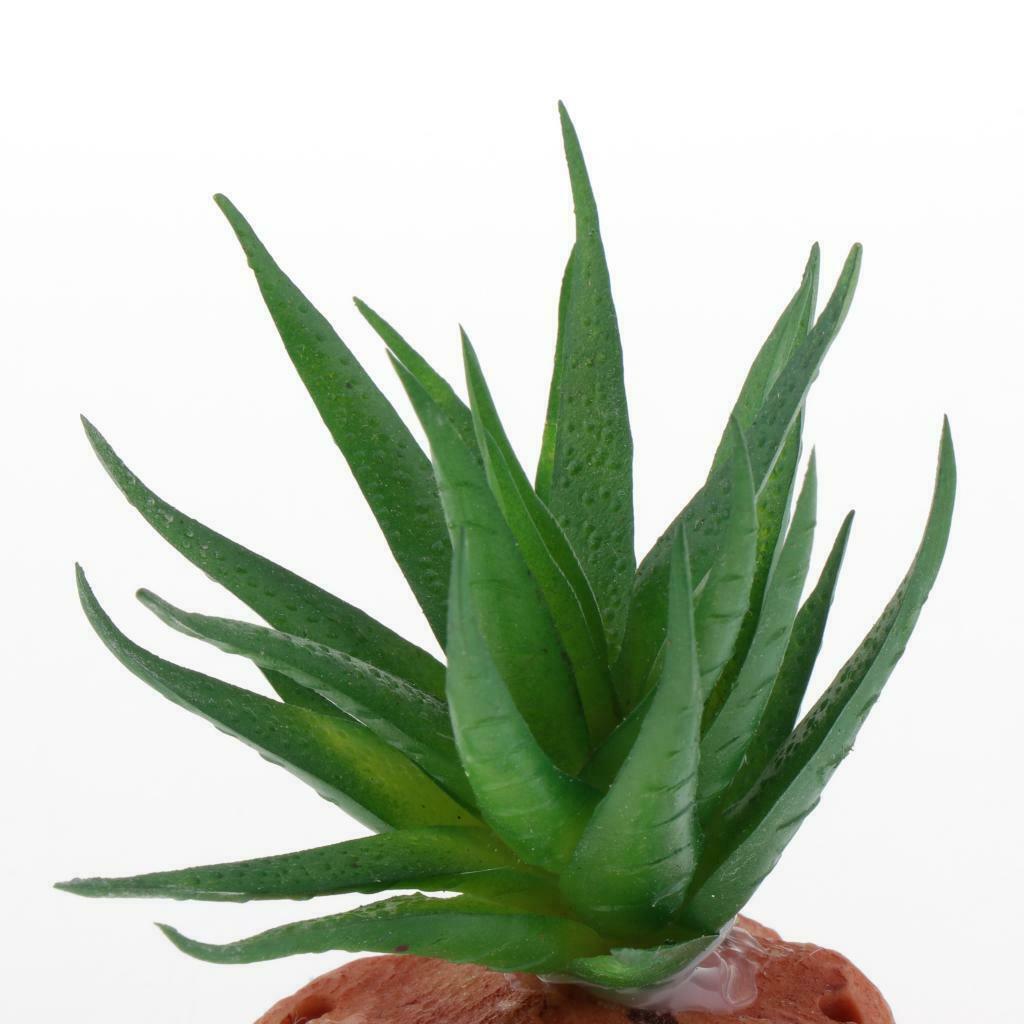 Aquarium Fish Tank Landscaping Plants Ornaments Reptile Hideaway Hide Cave