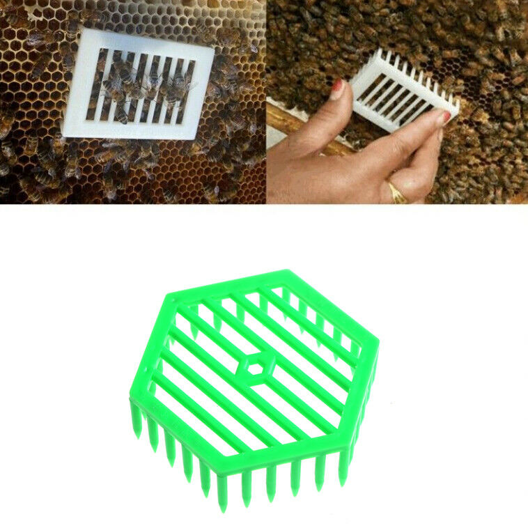 1PC Plastic Green Queen Marker Cage Clip Bee Catcher Beekeeping Tool S HY.l8