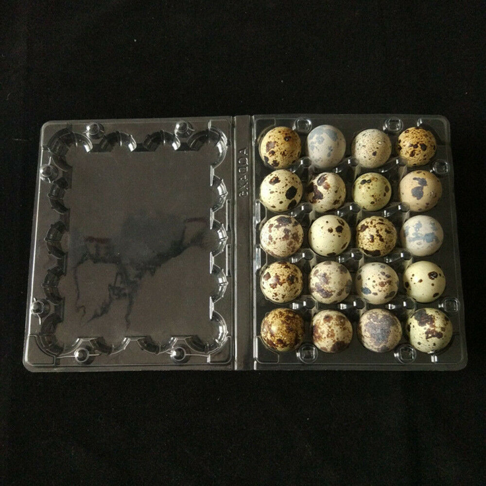 50Pcs Quail Egg Cartons Holds 20 Eggs Snap Close Plastic Box Container Packaging