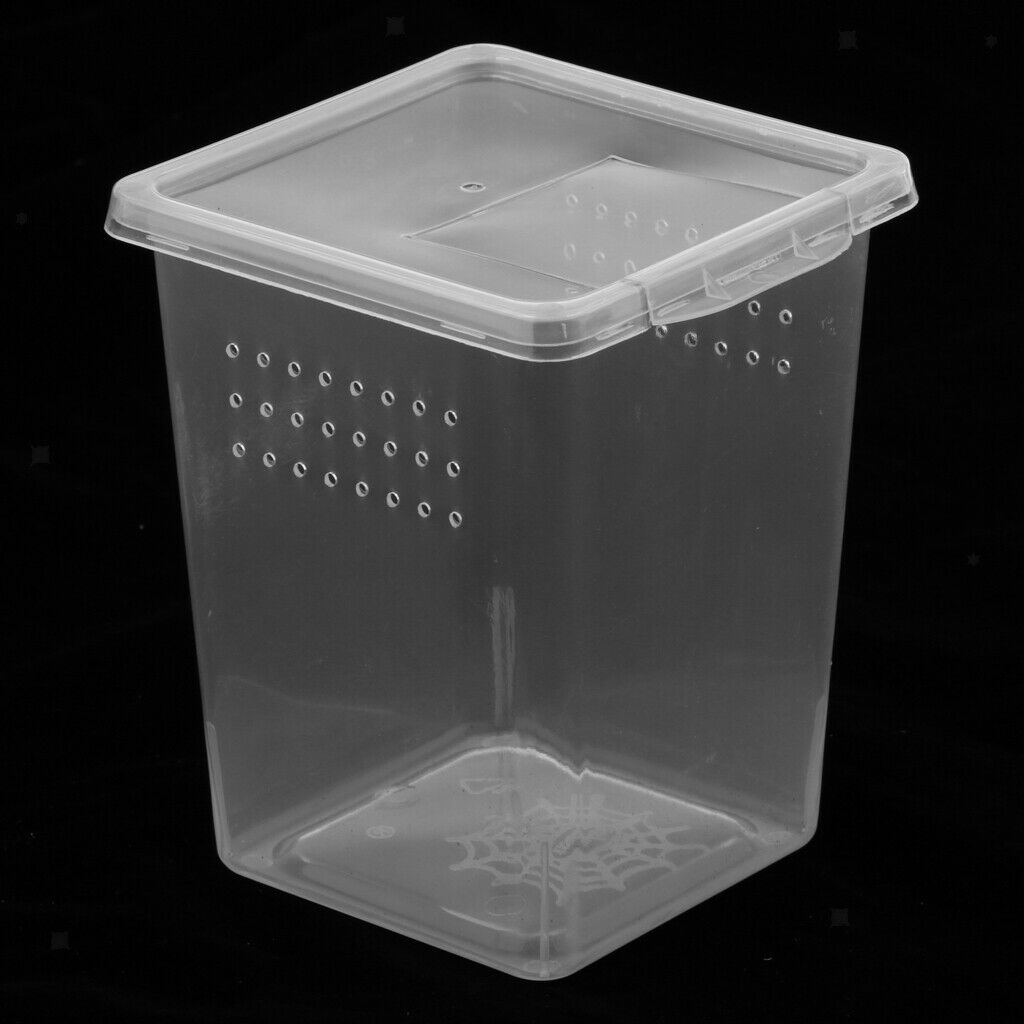 Plastic Insect Turtle Spider Habitat Feeding Box Container Tank 8x8x11cm