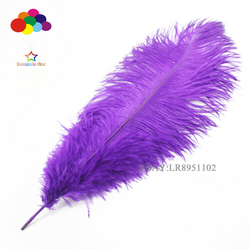 8-10" 50pcs ostrich feather for wedding table centerpiece Premium Medium Sized