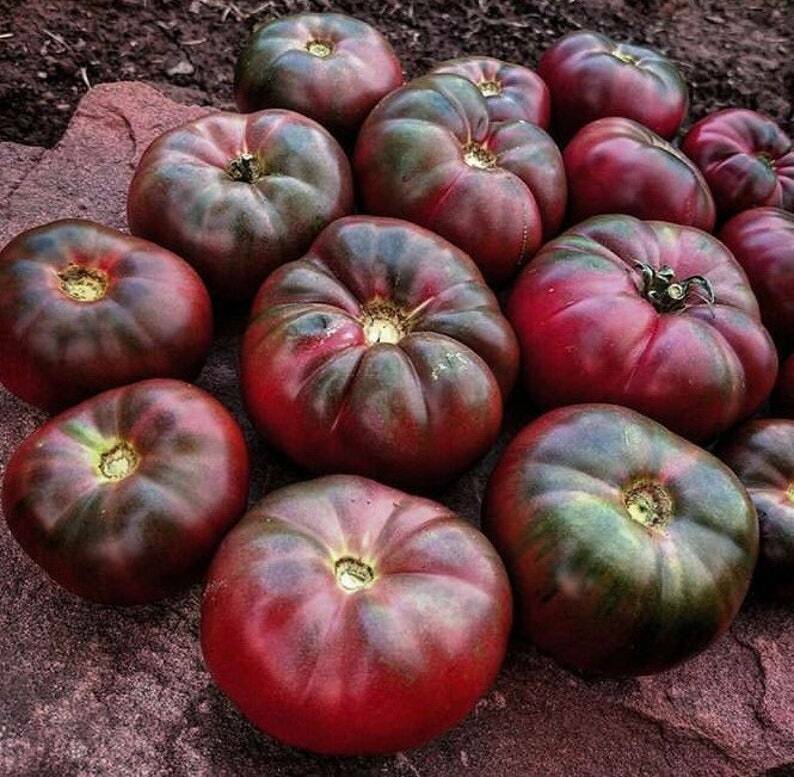 100PCS Seeds Giant Purple Tomato Cherokee Organic Edible Vegetables Home Garden