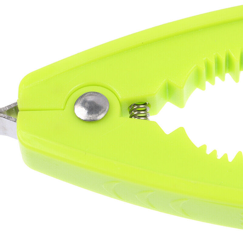 Multifunctional blood clam tongs hotel restaurant eat clam artifact kitch.l8