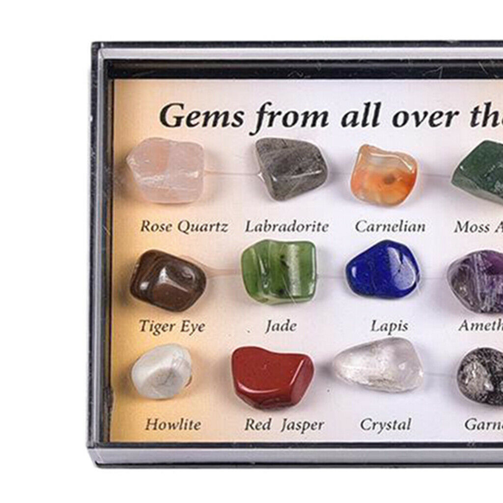 15 Rough & Polished Mineral Stone Set Education Specimen Kit in Wooden Box