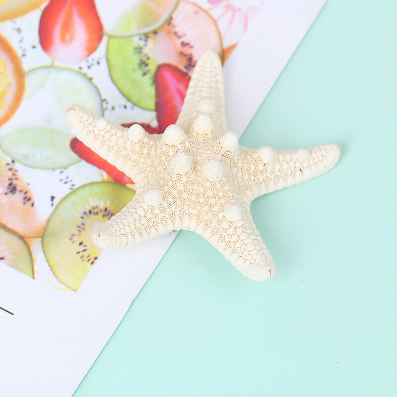 Fashion Lady Hair Clips Women Girls Starfish Sea Star Hairpins Beach Barr.l8