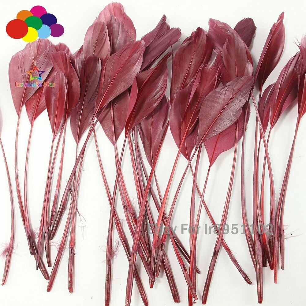 100pcs winered 15-20cm Stiff Stripped Goose Feather QUILL Craft feathers jewelry