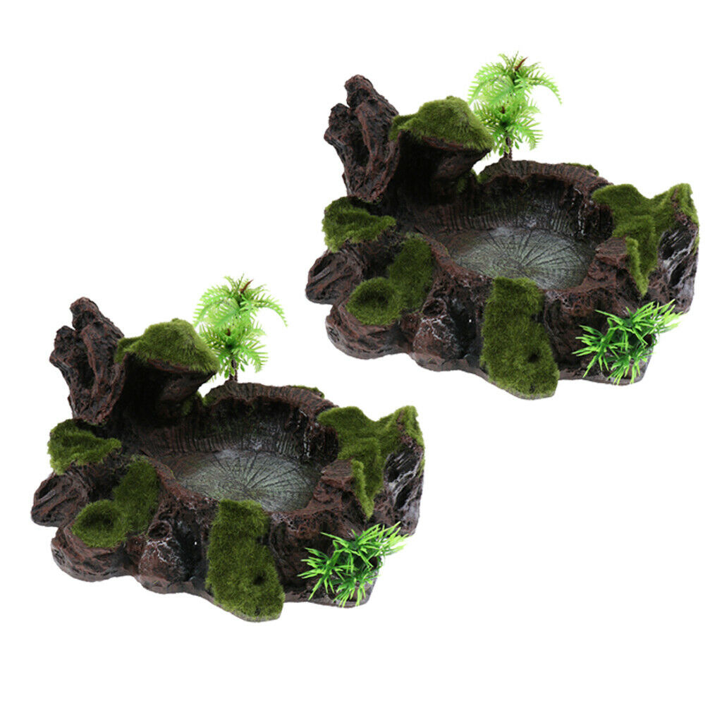 2x Reptile Water Lizards Turtle Feeder Dish for Reptile Bearded Dragons