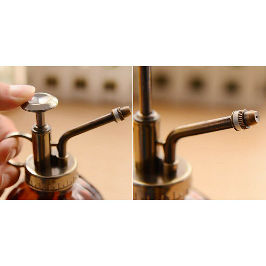 Pressure Sprayer Brake Cleaner Spray Bottle Garden Watering Can Wine Red