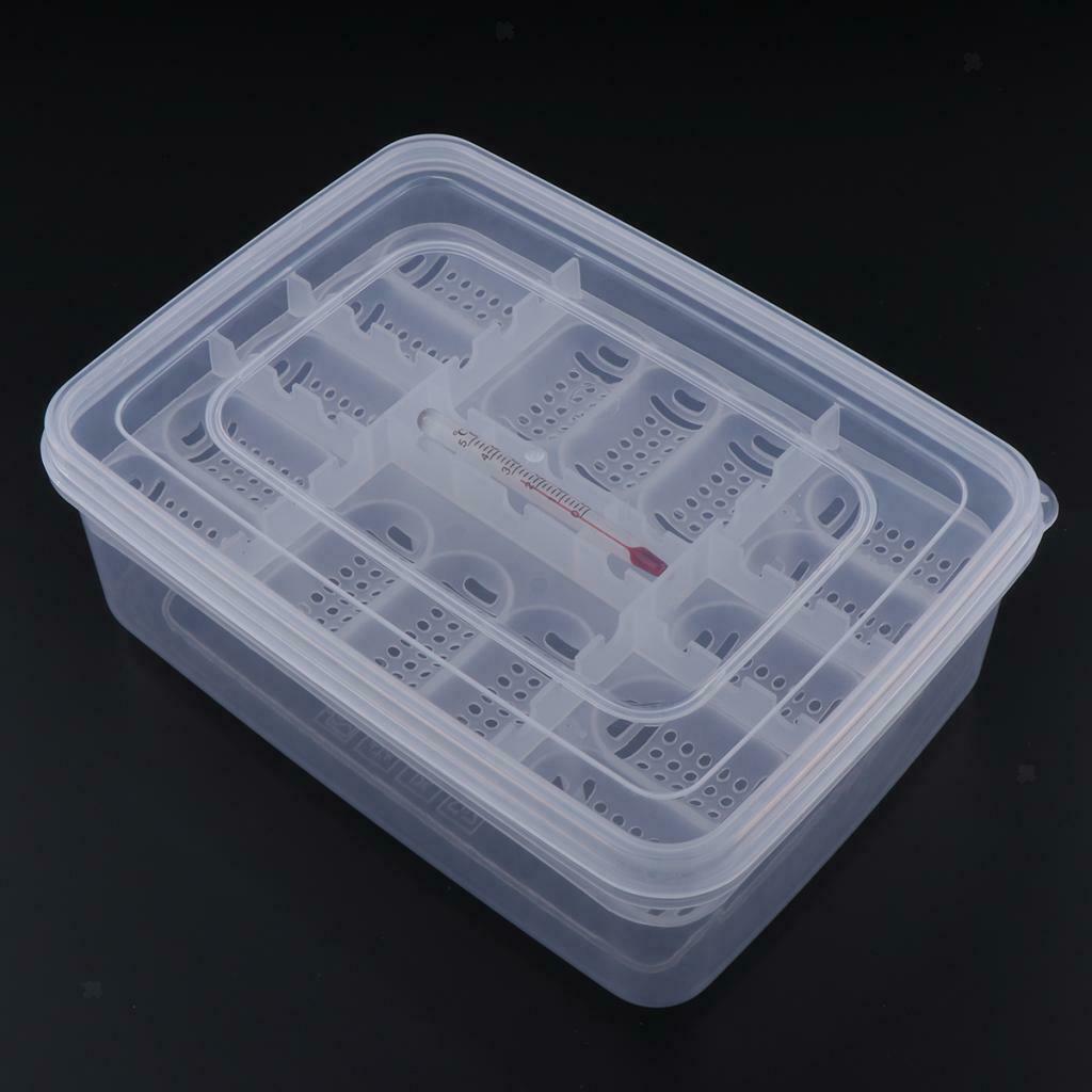 16 Grids Reptiles Egg Incubator with Thermometer