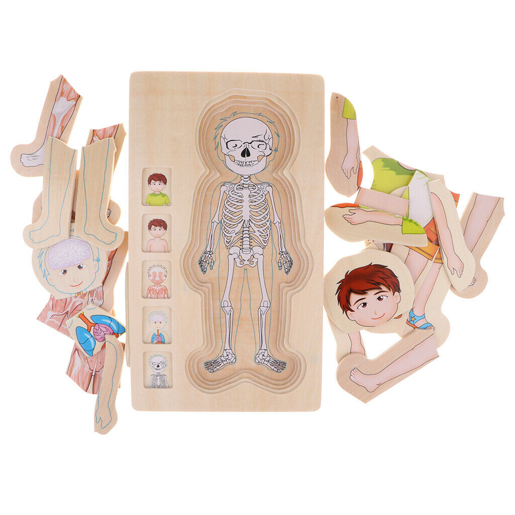 Wooden Puzzles for  Boys and Girls - 5 Layers Boy Body Structure Puzzle