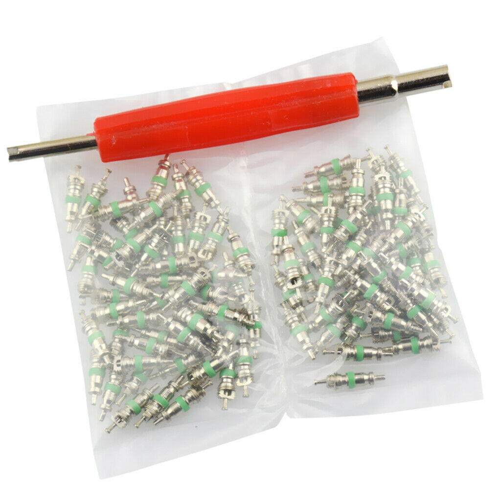 101 Pcs Assortment A/C AC Shrader Valve Core & Tool R12 HVAC Valves kit