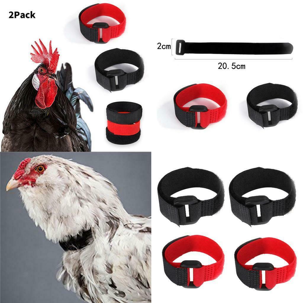 4x Rooster Collar Adjustable Prevent Rooster from Screaming for Duck Red