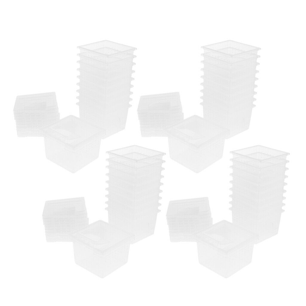 Set of 40 Clear Pet Reptile Spider Breeding Feeding Box Hatching Container