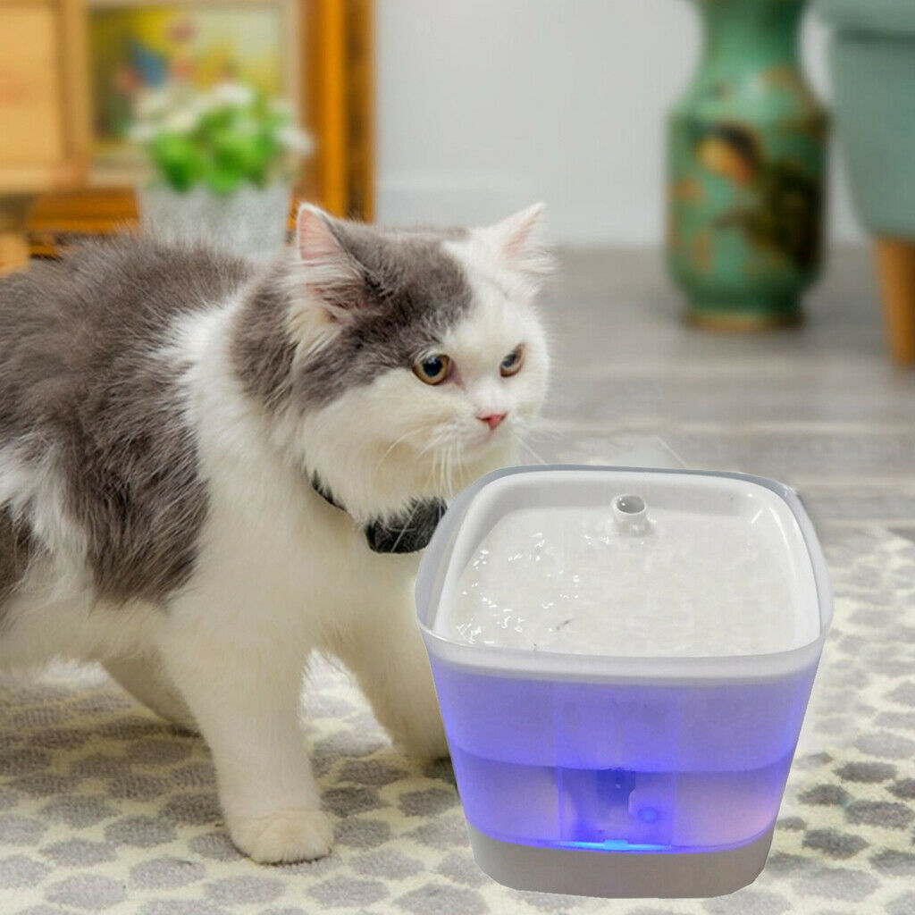 2L Automatic Electric Pet Dog Cat Water  Drinking Bowl with 2 Filter