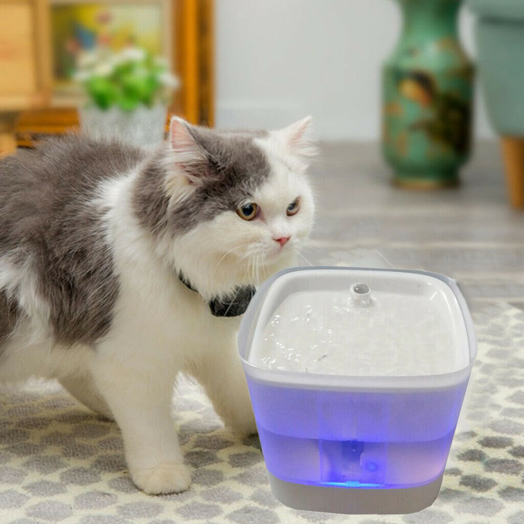 2L Automatic Electric Pet Dog Cat Water  Drinking Bowl with 2 Filter