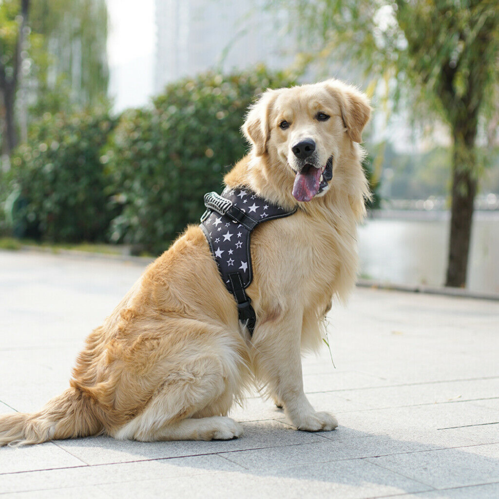 Adjustable Soft Thick Padded No Pull Dog Walking Harness Stars Size M