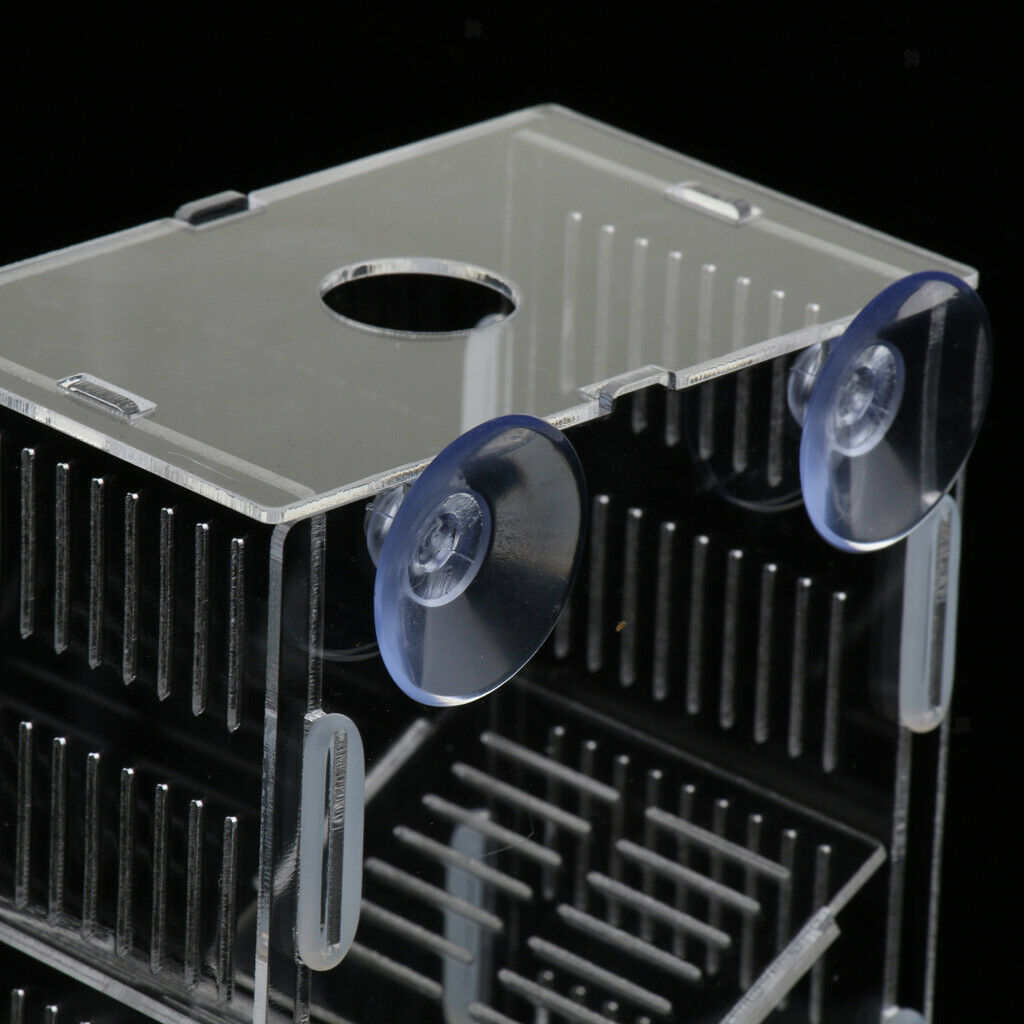 Clear Fish Breeding Box Acrylic Aquarium Breeder Box Double Guppies Hatching