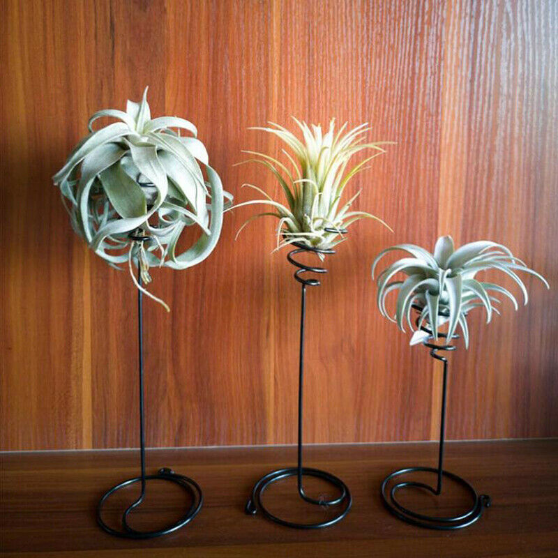 3Pcs Metal Air Pineapple Stand Base Plant Flower Rack Holder Home Balcony.l8