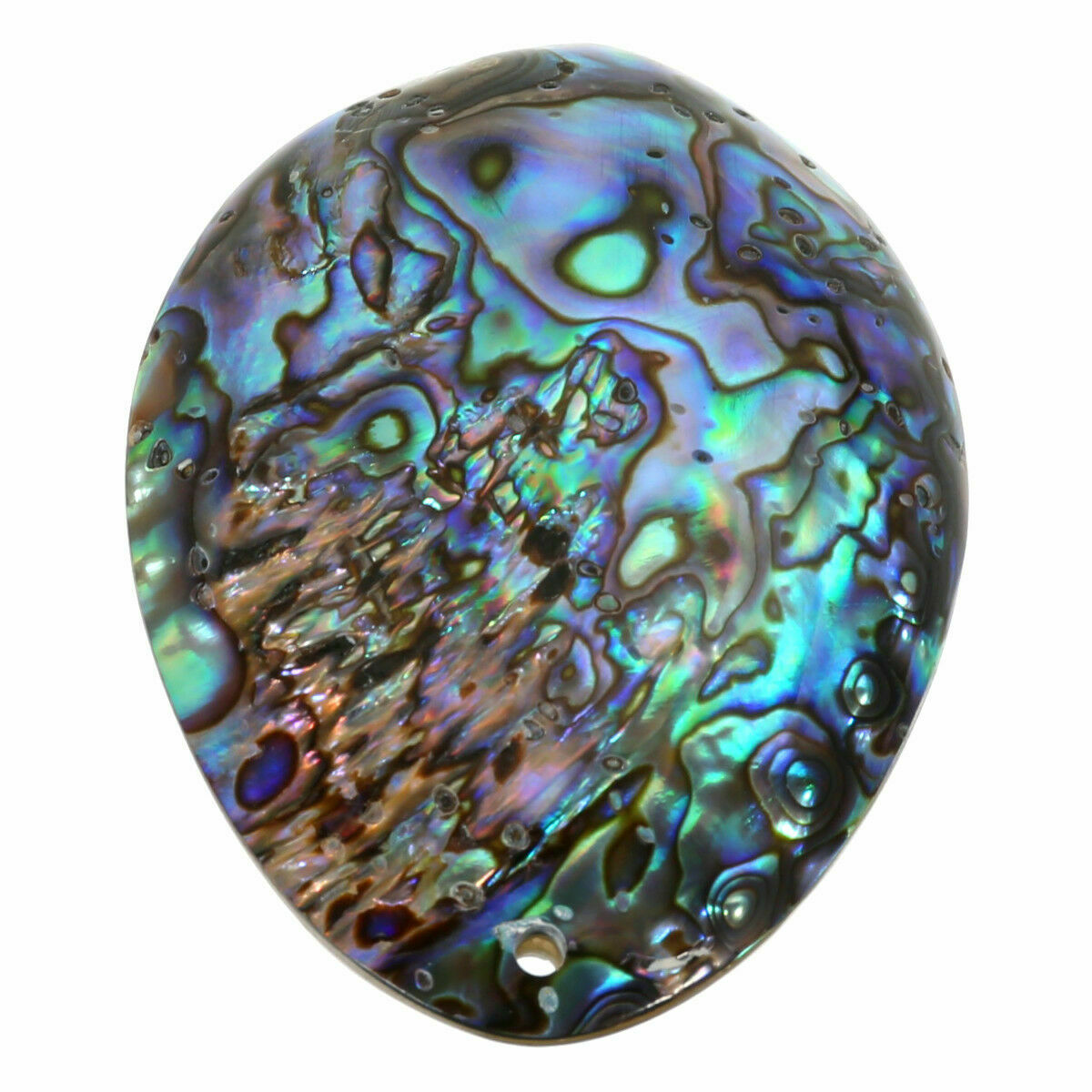 Seashell Abalone Shell Pendant Smudging Beach House Decor Natural Rainbow Gifts