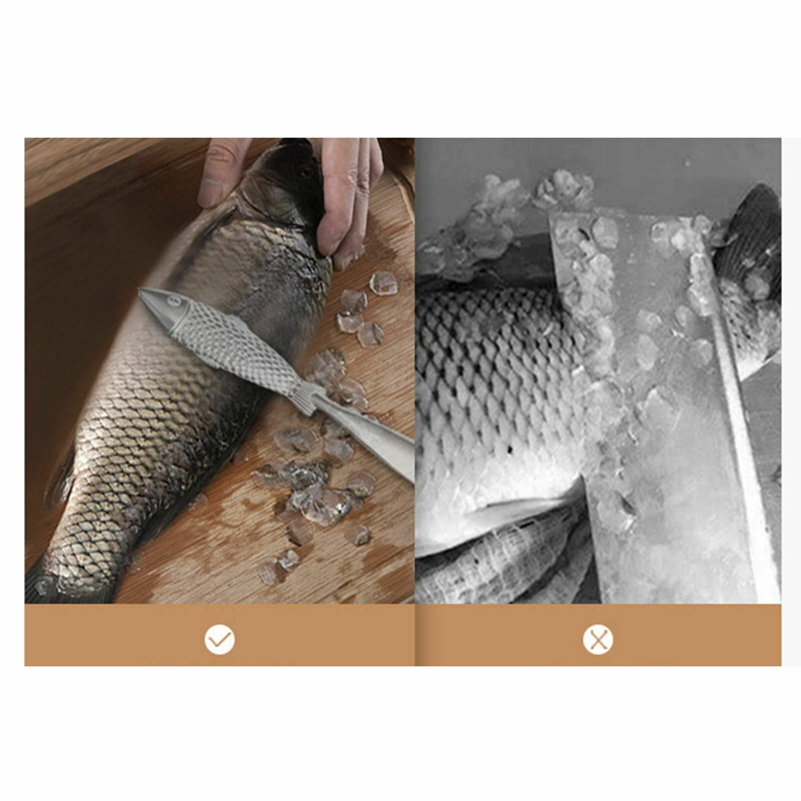 Fish scales scrapers Fish scales peelers Fish scales Cleaning brushes Scraping