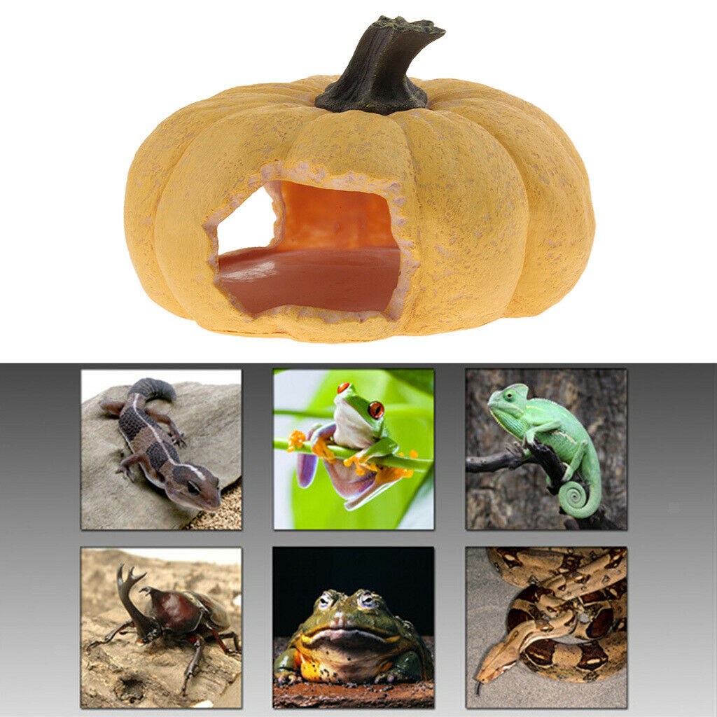 Reptile Vivarium Hiding Cave Nesting Lizard House Ornament Landscape Decor