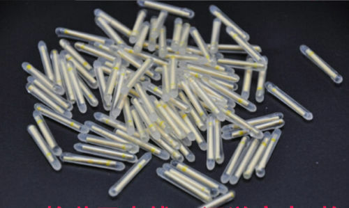 100PCS 37mm Night Float Lights Fishing Fluorescent Dark Glow Sticks Rod