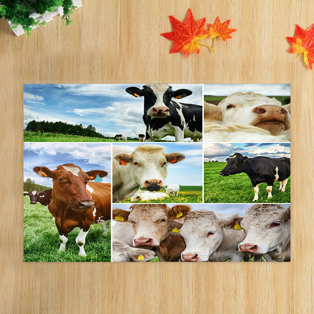 Animal Print Farm Cow Door Mats Floor Mats Non-Slip Indoor Rugs 16x24"