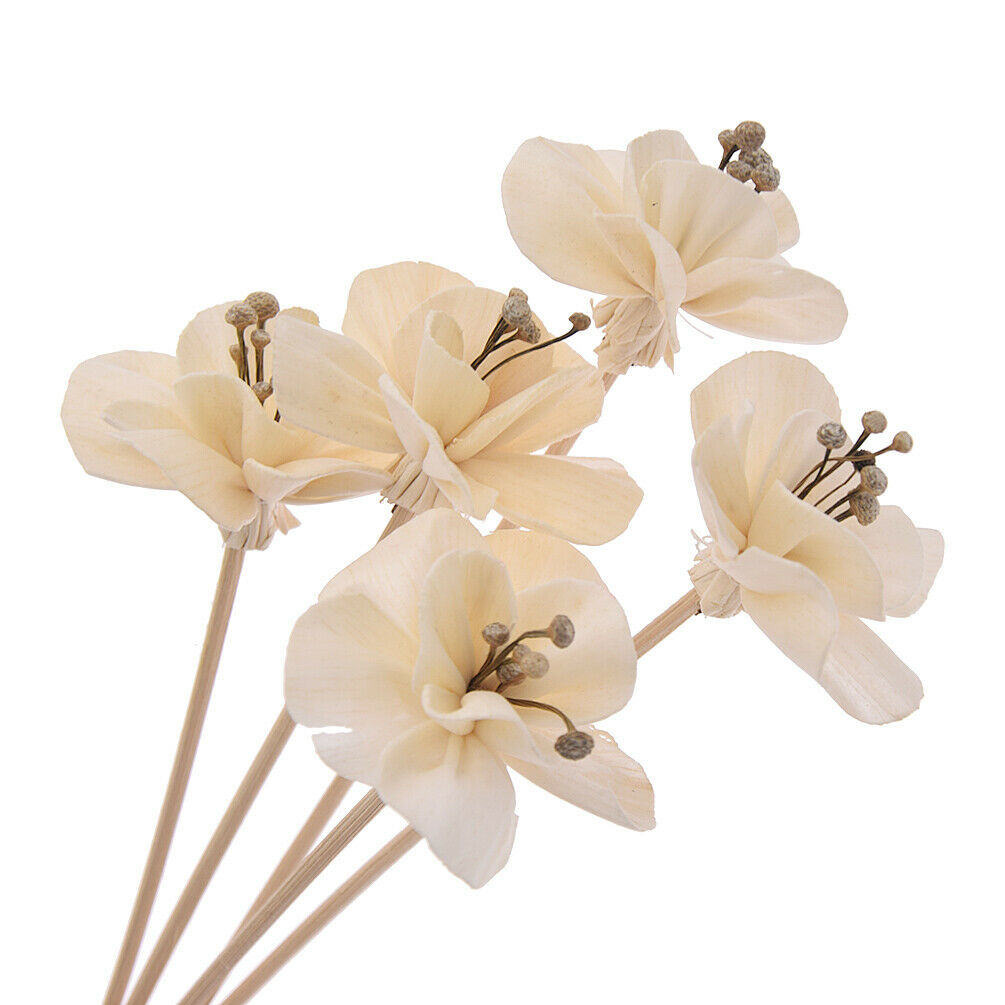 5x Flowers Diffuser Rattan Reed Incense No Fire Replacement Refill Sticks Decor