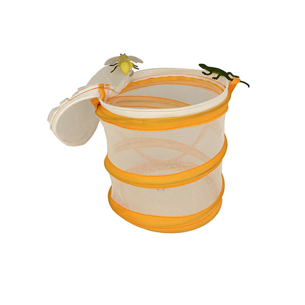 Insect and Butterfly Habitat Cage -up Educational for Outdoor Girls