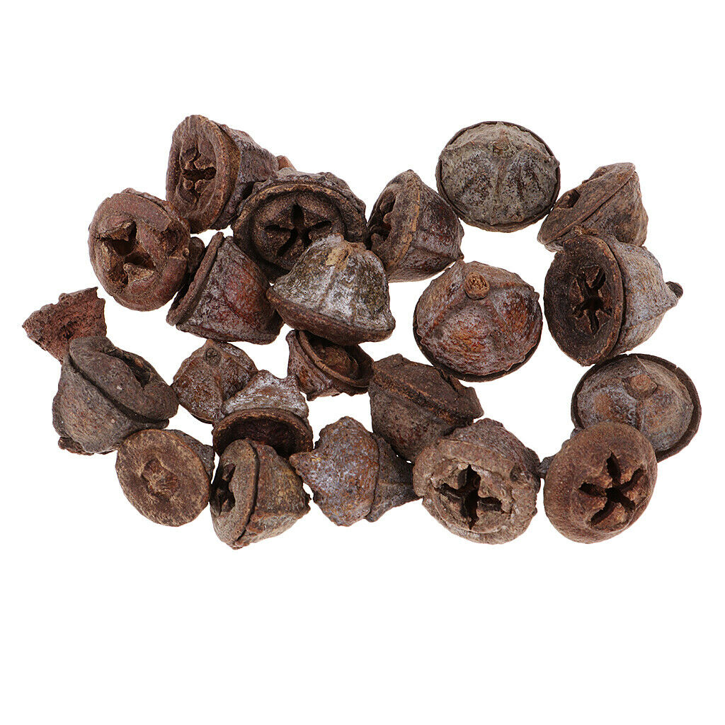 100x Natural Dried Flower Pine Cone Ornament Decorative Bowl