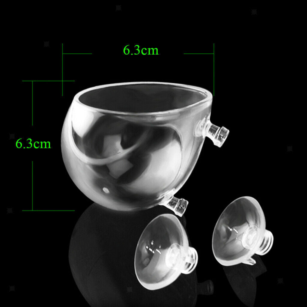 Dia. 6.3cm Clear Crystal Glass Aquatic Plant Cup Pot with Suction Ornament