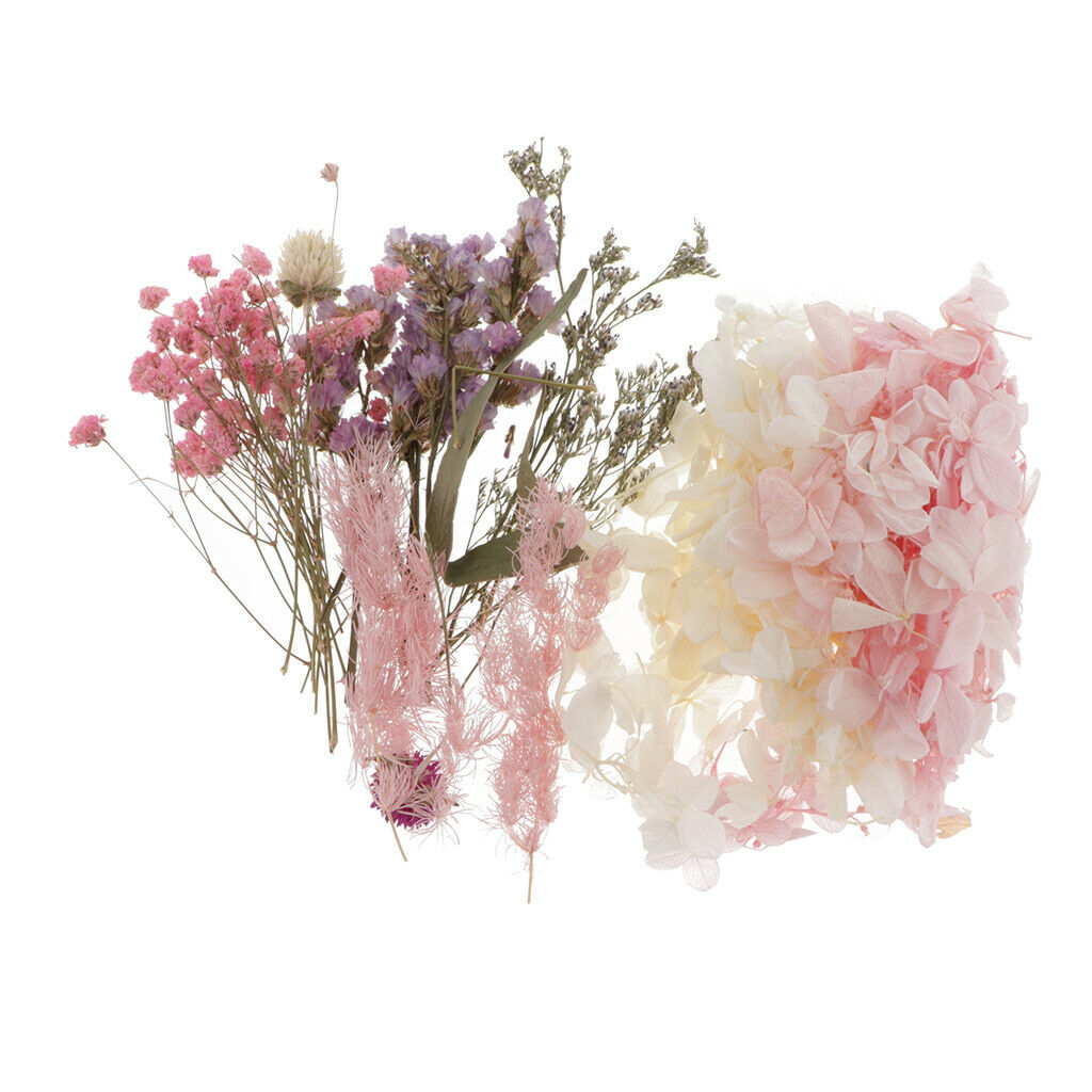 Natural Dried Flowers Leaves for Cards Making Jewelry Making Paper Art