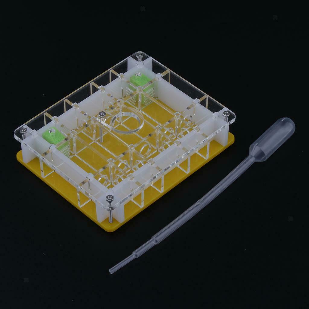 2pcs/set Ant Housing Nest Insect Cage Educational Formicarium for Live Ants
