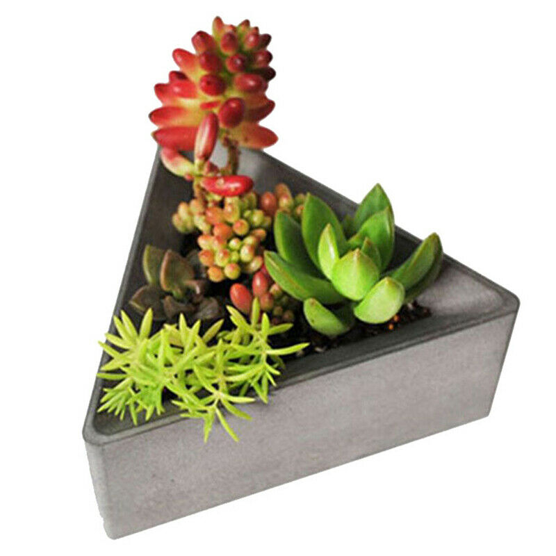 Geometric Shape Silicone Mold Flower Succulents Plants Cement Planter MoldBDAU