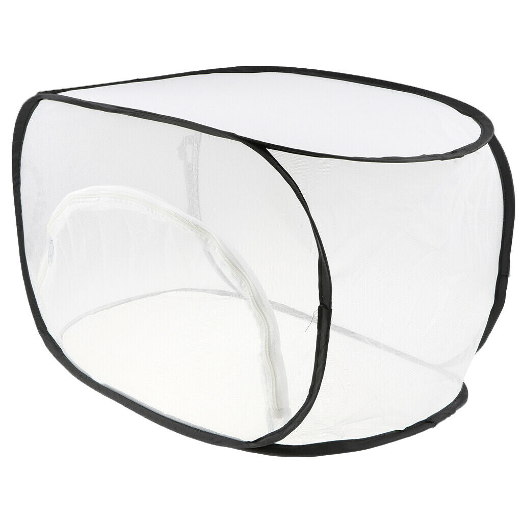 2XInsect Breeding   Up Cage Butterfly Habitat Terrarium Living Net Collapsible