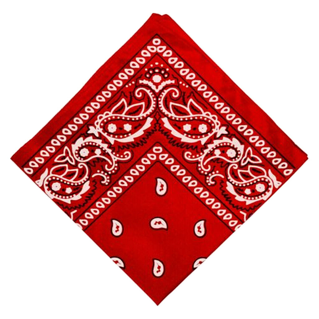 2Pcs 100% Cotton Paisley Print Paisley Cowboy Bandana Head Wrap Hair Band