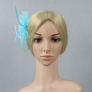 Flower Net Feather Fascinator Beak Clip Wedding Races Fascinator Baby Blue