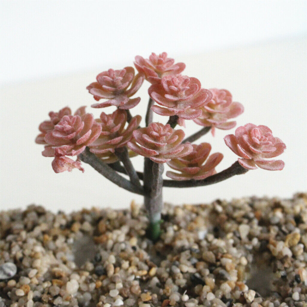 2 Pcs Artificial Succulent Plant Flower Cactus Home Decor Red