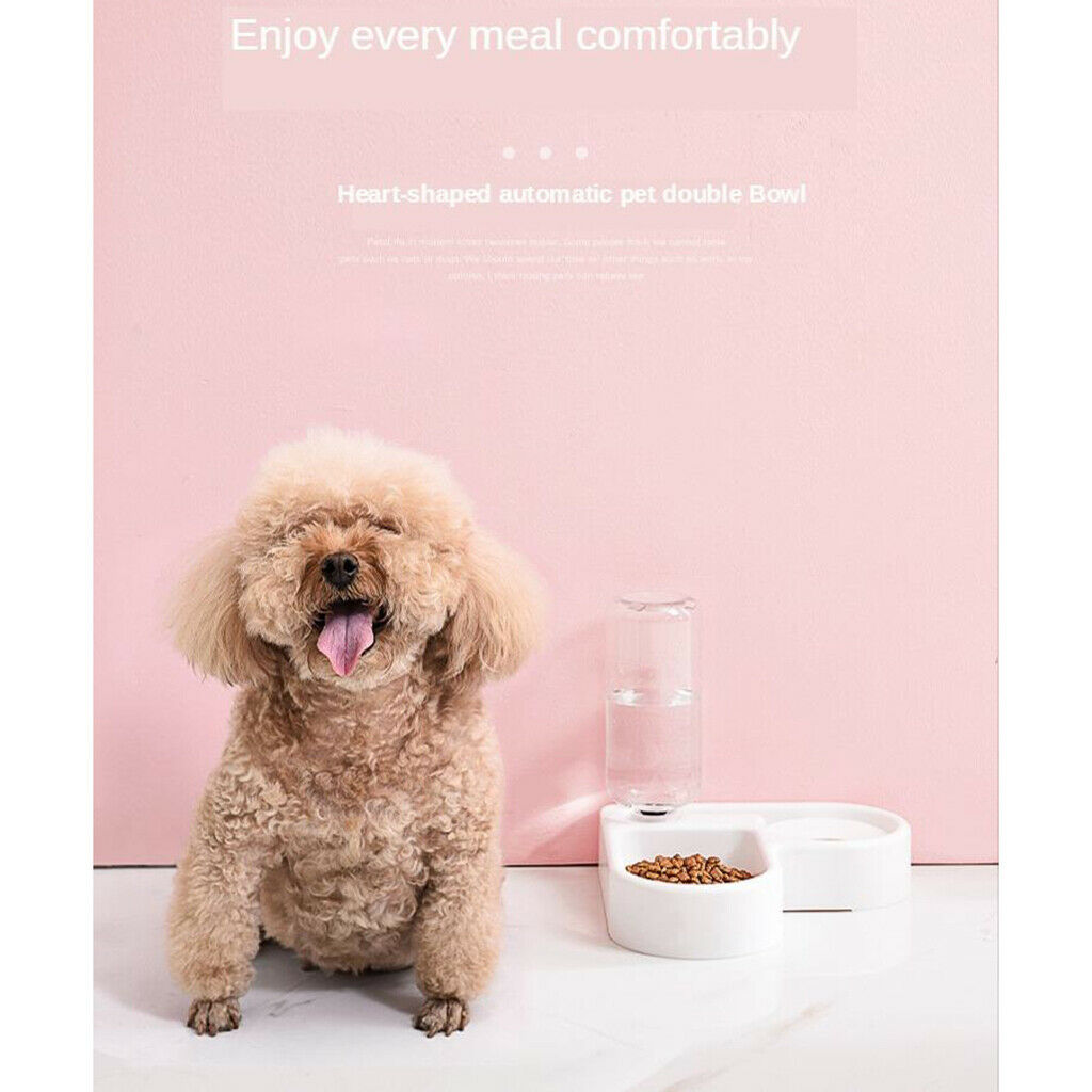 Automatic Pet Feeder Bowl Automatic Water Bowl Double Pet Bowl Waterer